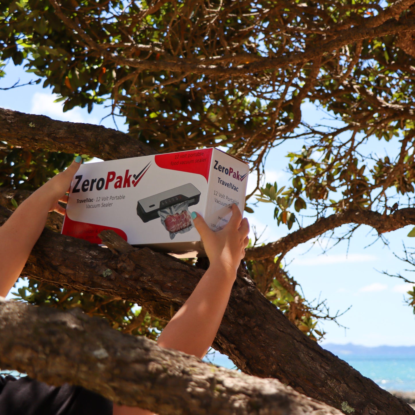 TravelVac 12 Volt Vacuum Sealer
