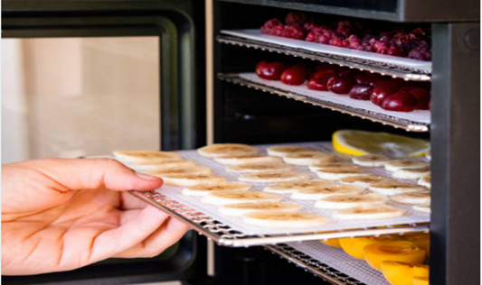 HEALHTY & HOMEMADE: DEHYDRATING FOR BACKPACKING & CAMPING TRIPS