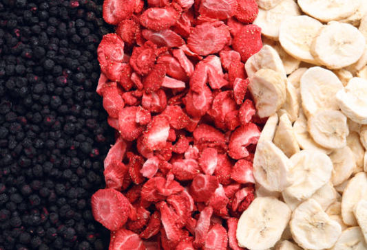 WHAT IS FREEZE DRYING?