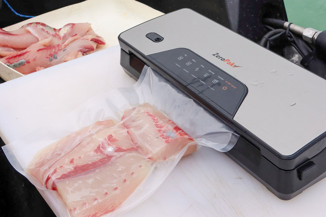 A vacuum sealer, vacuum packing fresh fish on the water