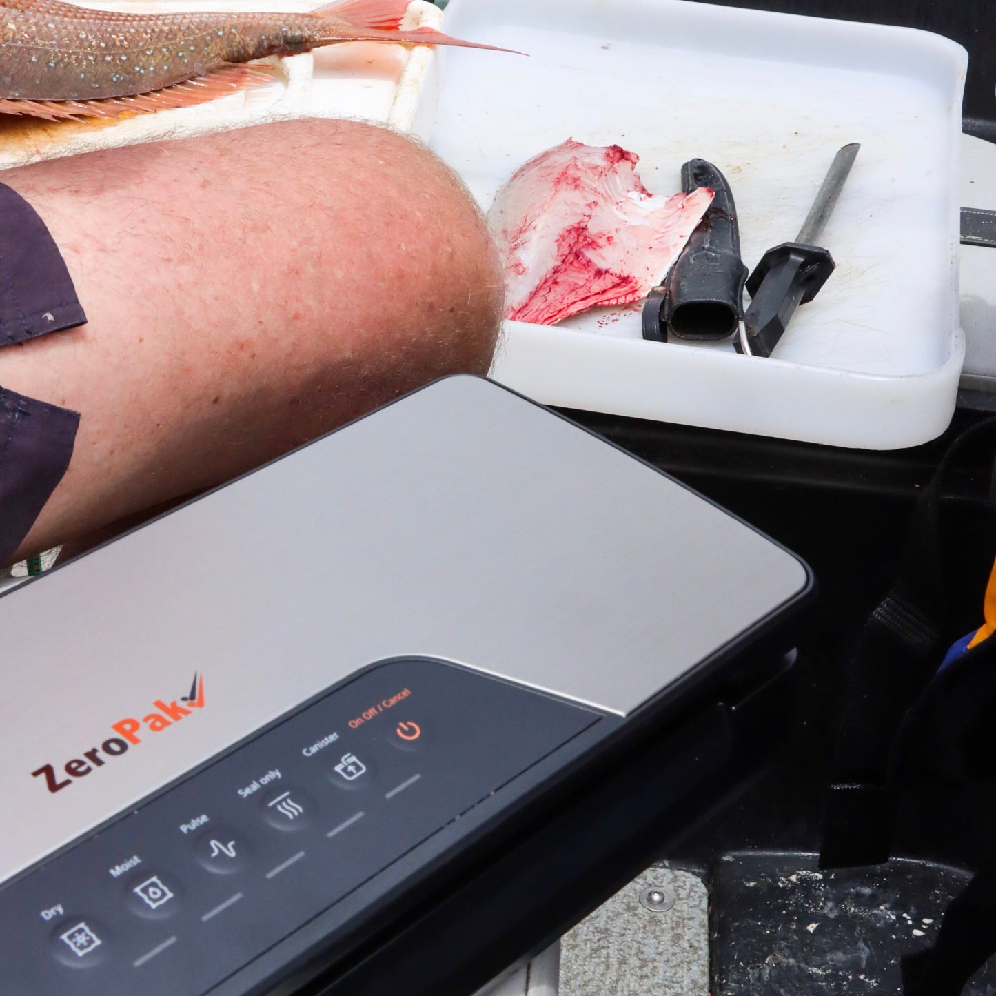 TravelVac 12 Volt Vacuum Sealer