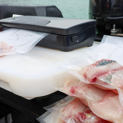 TravelVac 12 Volt Vacuum Sealer