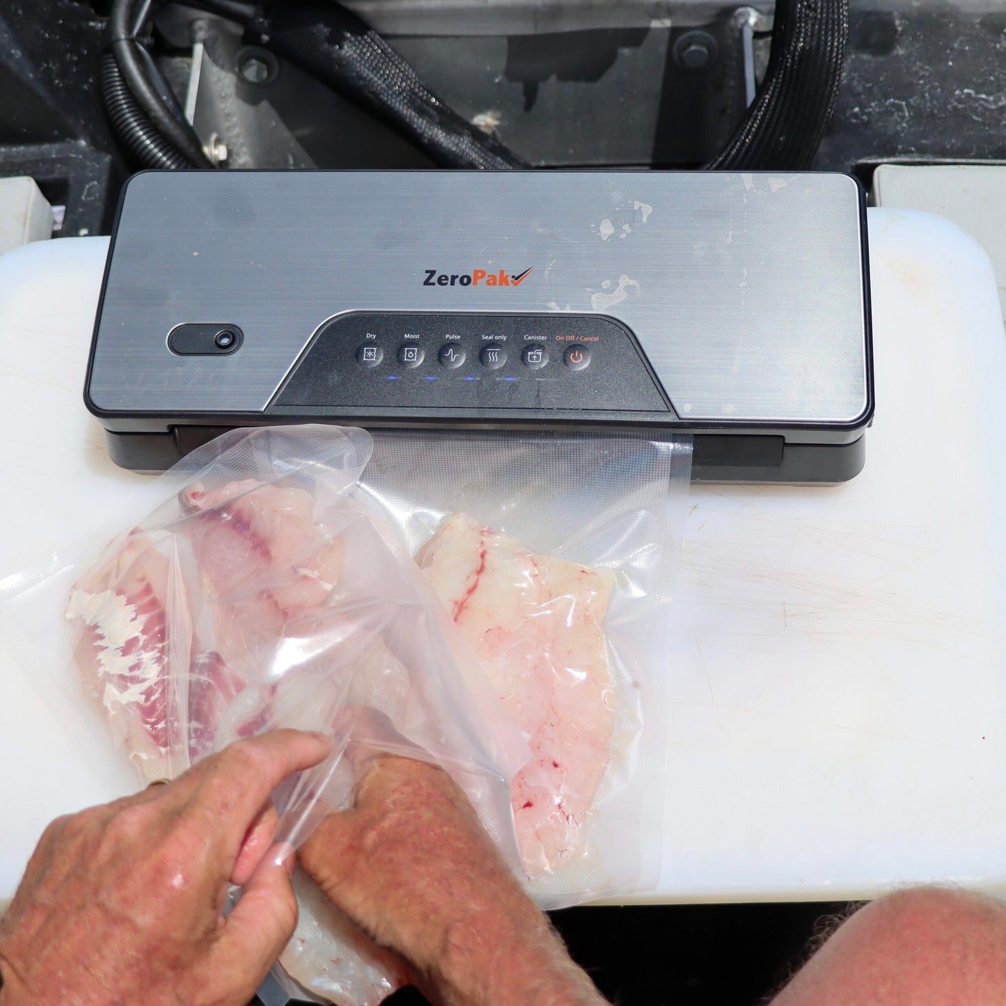 TravelVac 12 Volt Vacuum Sealer