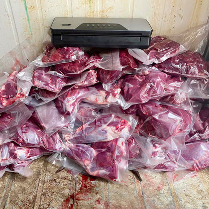 TravelVac 12 Volt Vacuum Sealer