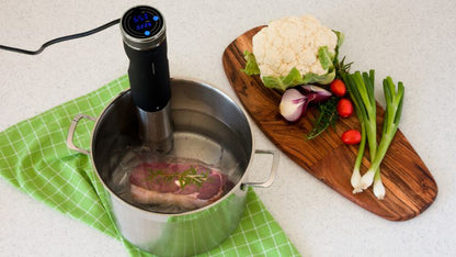 IPX7 Sous Vide Circulator SVC100