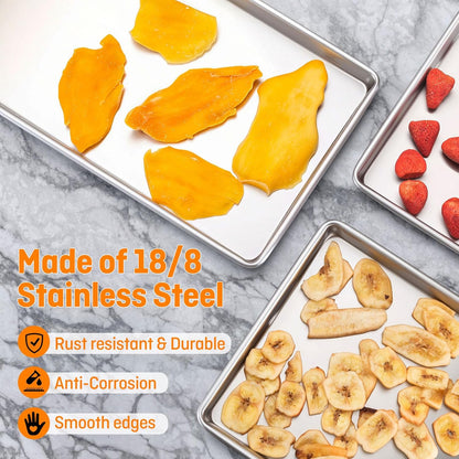 Freeze Dryer Trays