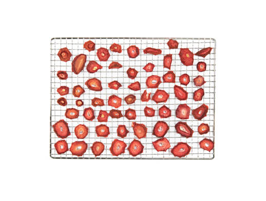 status food dehydrator mesh tray with dehydrated strawberries