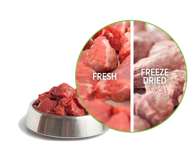 Freeze dried and fresh pet food