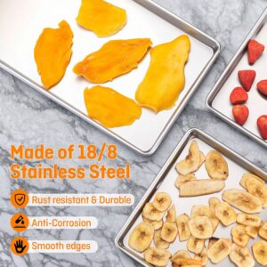 medium freeze dryer trays stainless steel